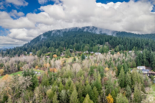 Devil’s Mountain near Conway is the perfect spot for scenic views and hiking.