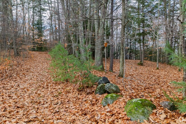 Students of New England College can enjoy hiking the trails at Proctor Hill.
