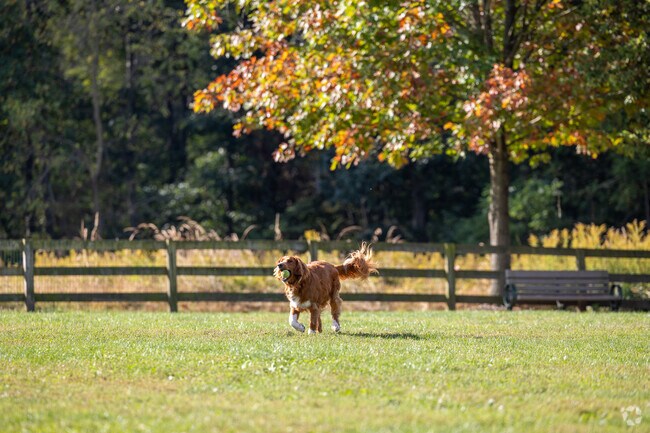 The Goddard Dog Park is an off-leash, fenced-in area for dogs of all sizes.