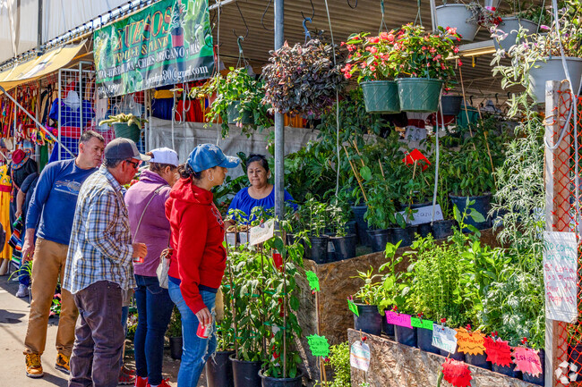 The San Jose Flea Market, a vibrant marketplace with over 2,000 vendors, is just minutes from Brooktree.​