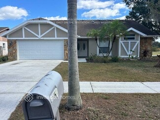 2825 Mnr Hl Dr, Brandon, FL 33511