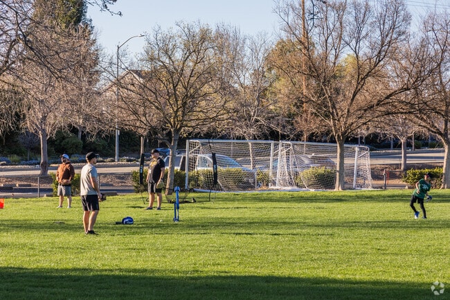 It''s common to see families playing Baseball in Big Trees Park in Wagner Farms.