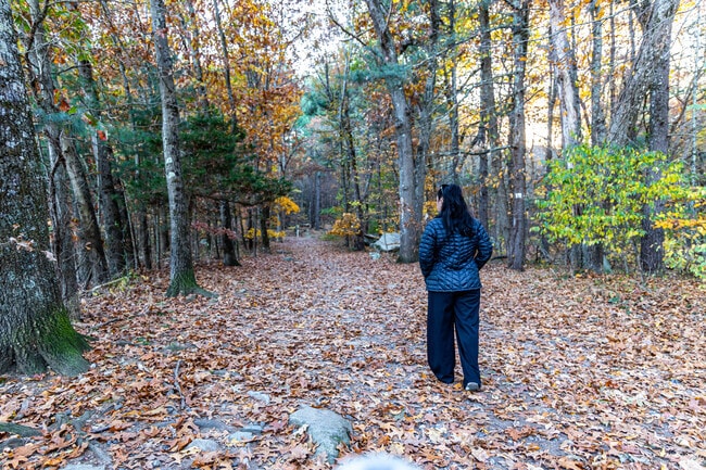 Enjoy a walk through the trails of Wilson Mountain Reservation.