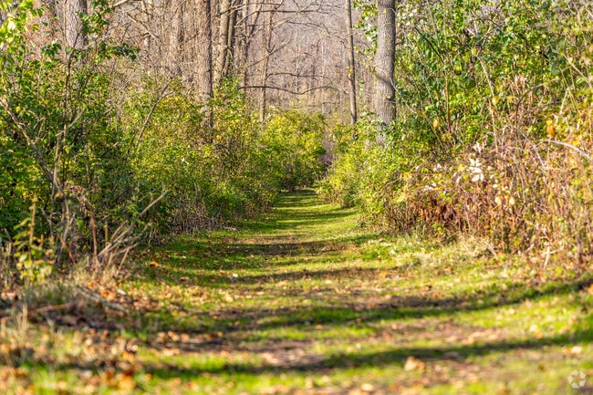 The Trout Valley neighborhood is never far from nature trails and natural amenities.