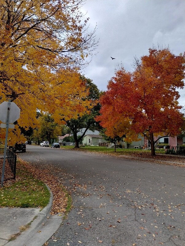 1949 S 9th St W unit B, Missoula, MT 59801 - photo 3