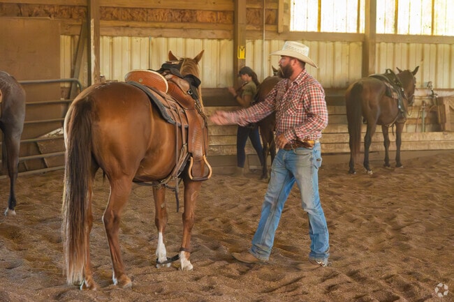 Equestrian enthusiasts can enjoy clinics and workshops at stables near Plum Creek.