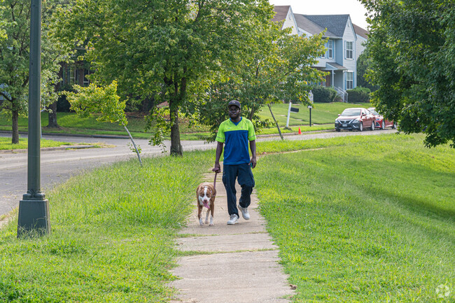 Gillies Creek Park is perfect for a great walk around Fulton.