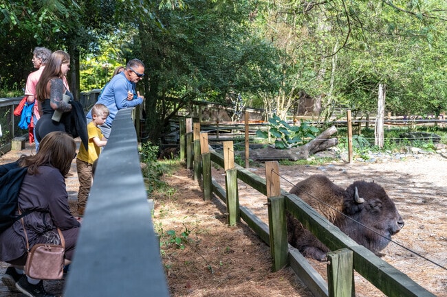 The Salisbury Zoo near Parsonsburg is free and makes for a great day of fun.