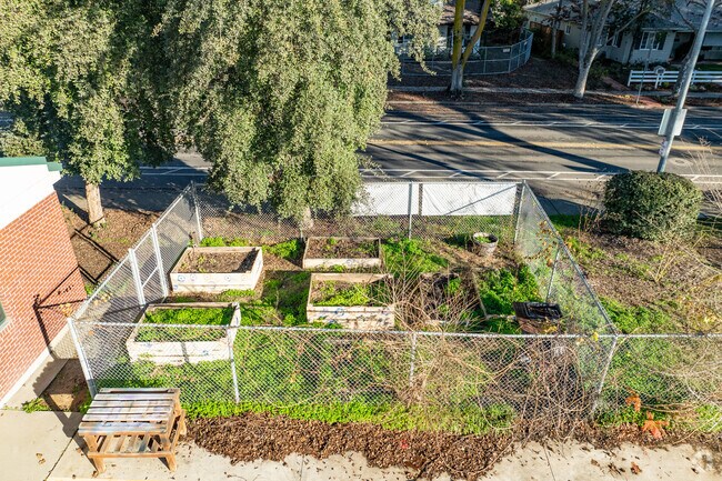 Students and teachers participate in taking care of the school garden.