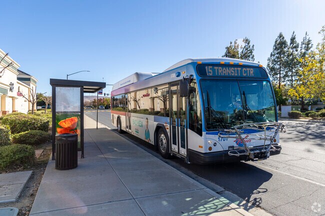The Wheels Bus system is the local transit system for the Springtown neighborhood.