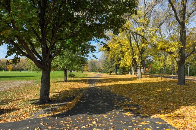 Take a relaxing walk in Lewis Park near the Dewey Hill neighborhood.