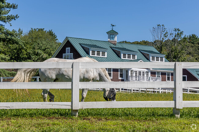 A horse enjoying some grass at a farm in Sherborn.