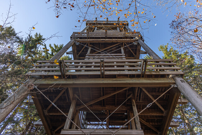 Climb the Schlitz observation tower for the best views in Bayside.