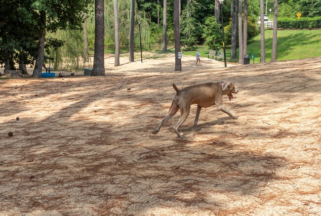 Take your pooch for some playtime at Apex Nature Park, only a few miles from New Hill.
