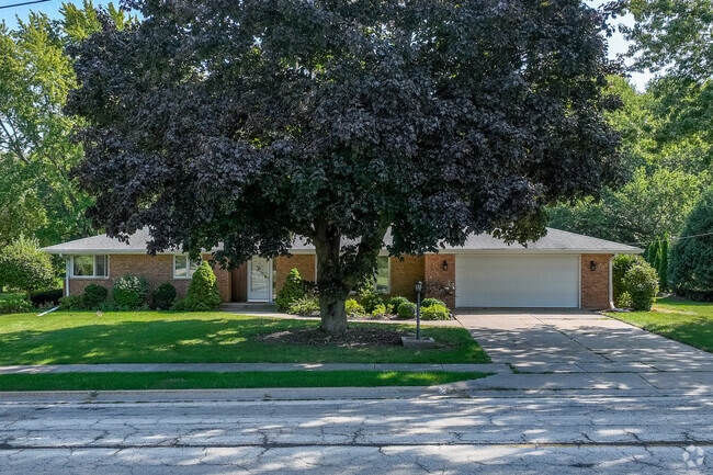Hidden ranch homes hide among the full trees within the neighborhood.