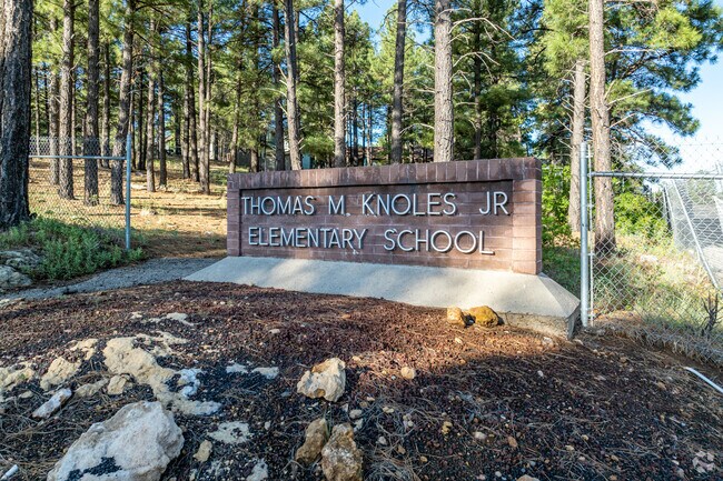 Thomas Knoles Jr Elementary is a great school in the community.