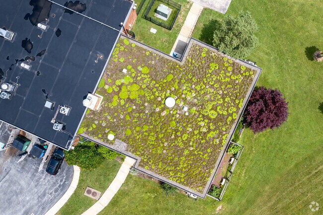 One of the most striking features of Hillside Elementary School is its green roof.