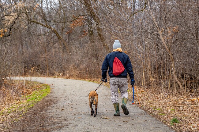 Forest River pet owners can walk their dogs along the forested trails of nearby nature parks.
