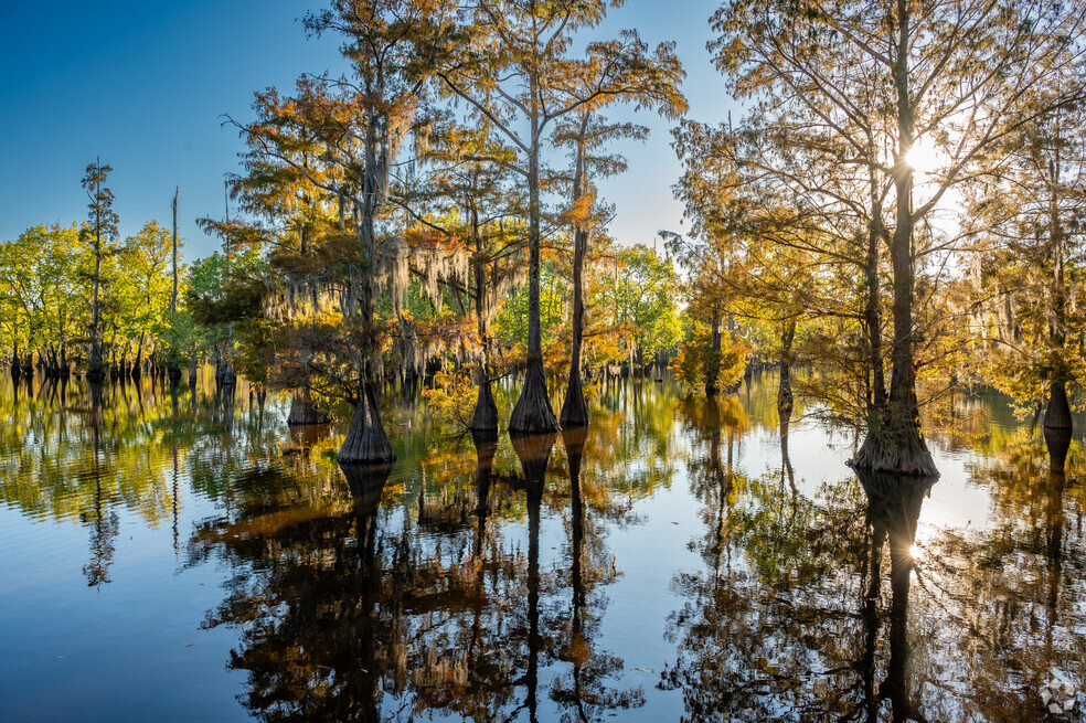 CP_Monroe_LA_1003808_P2_AP_V1021425