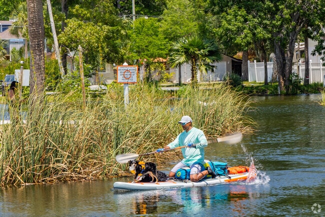 In Hernando Beach you will never run out of fun on the water with your pups.