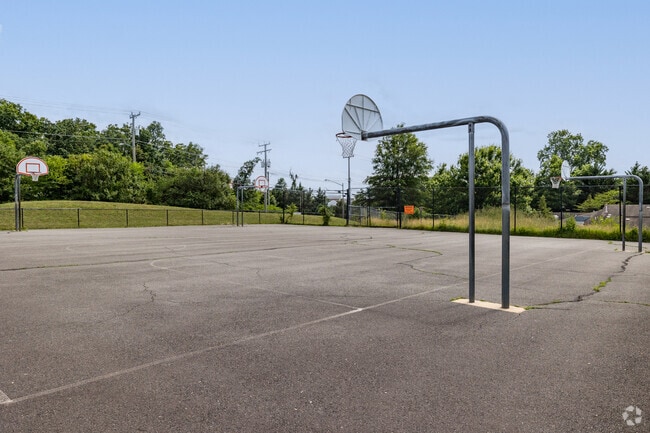 Basketball Court
