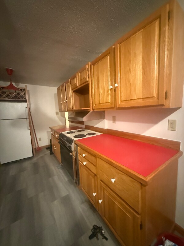 26 Rochester St, Dryden, NY 13053 - photo 6