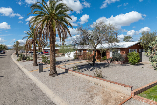 Native trees and tall palms line many Sewell streets.