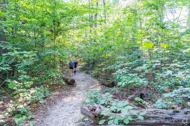 Hike along many of the lush trails that can be found in Larus Park.