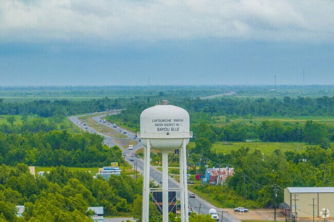 You'll see that many businesses in Bayou Blue are categorized in the distribution, manufacturing, and industrial sectors.