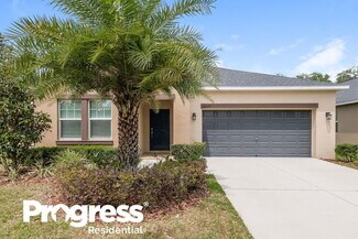 14279 Blue Dasher Dr, Riverview, FL 33569