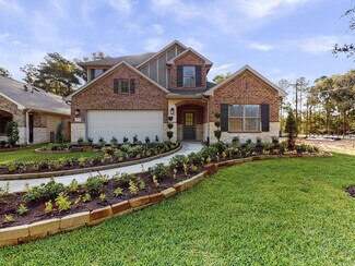 17735 Sapphire Pines Dr, New Caney, TX 77357