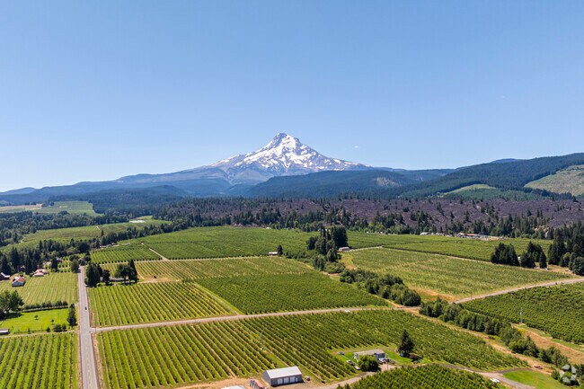Odell has gorgeous views of Mount Hood.
