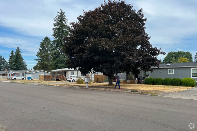 A man enjoys a summer walk along NE 34th St in Parkside.