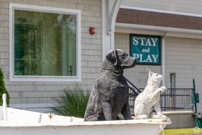 The pets of the North Warren neighborhood have the best care at the Harbor Animal Hospital.