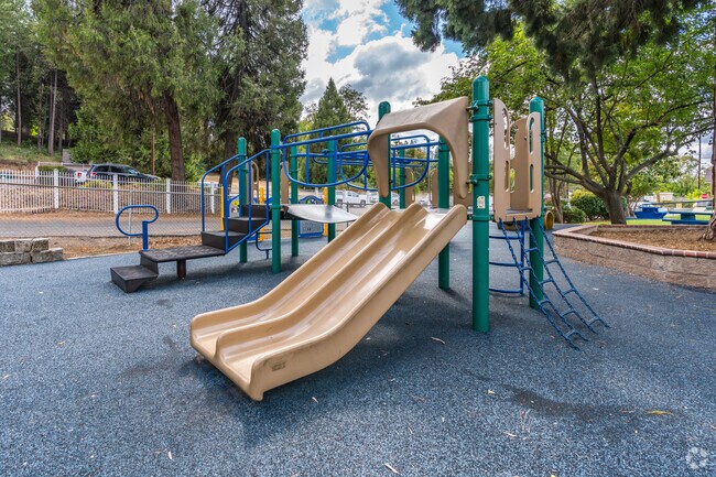 The playground at Pine Grove Community Park is a lot of fun for kids in town.
