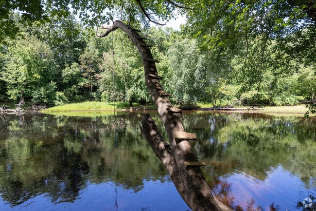 The Contoocook River has a large rope swing for those brave enough to jump in.