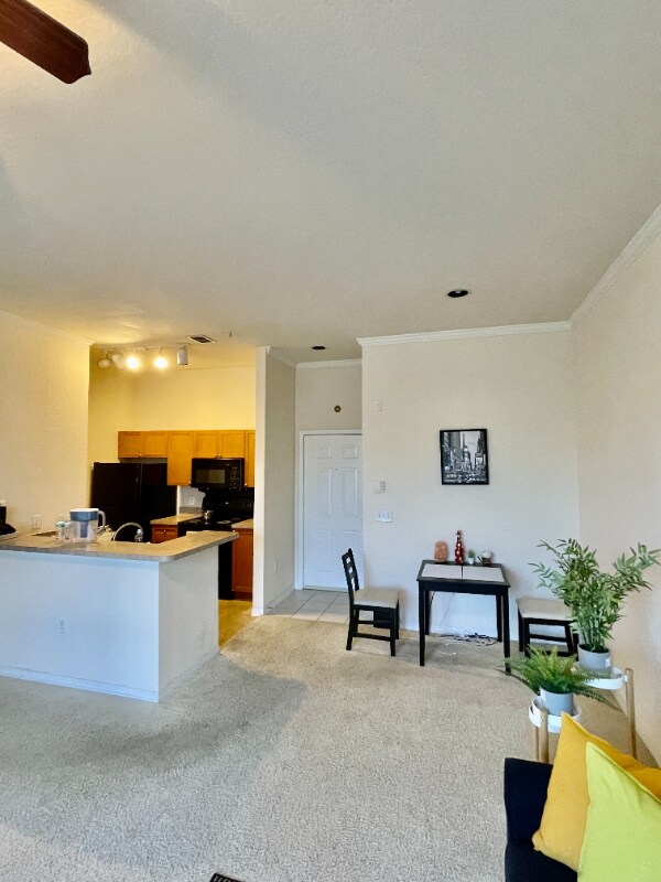 2200 Ladora Dr unit ADRW, Brandon, FL 33511 - photo 1