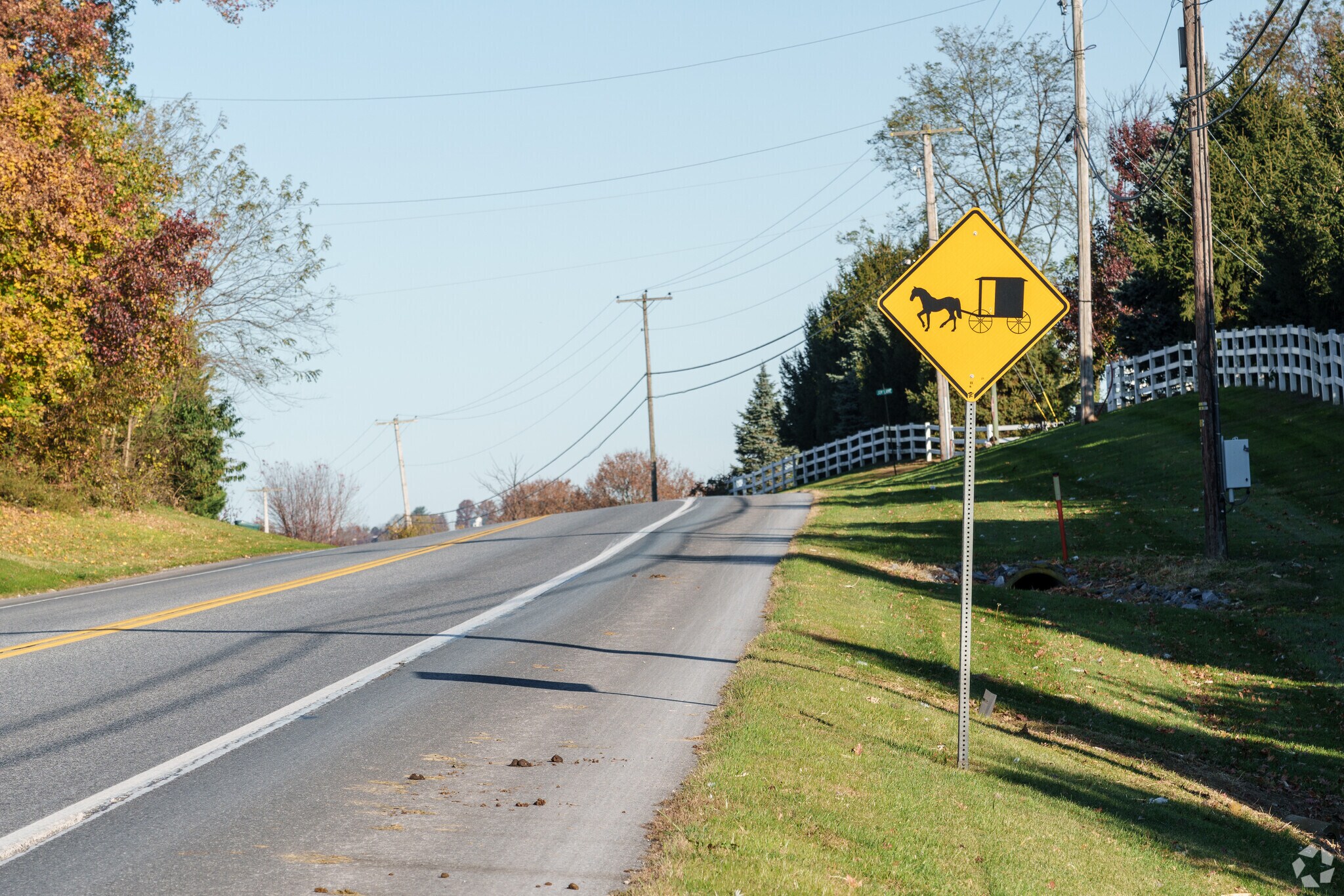 The road signs in The Buck leave little doubt that you're now in Amish Country.
