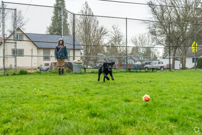 Grant School Park is a favorite spot for residents to play a game of fetch rain or shine.