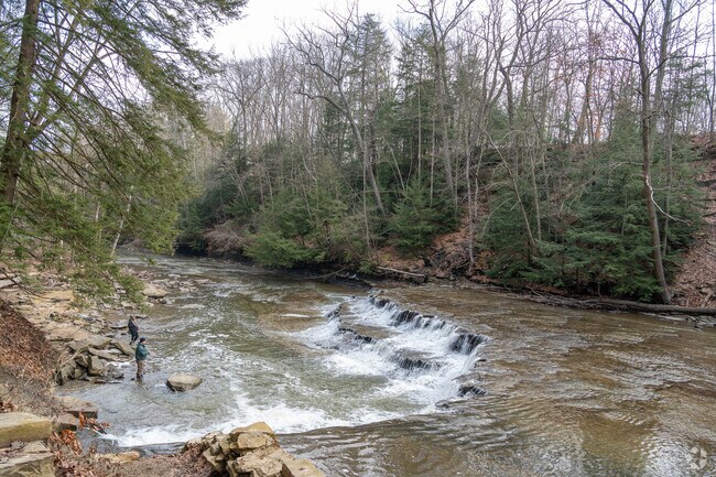 Fisherman enjoying their morning on the Chagrin River.