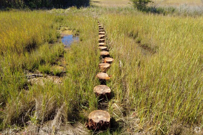 Stroudwater residents can test their balance on the stump trail at Fore River Sanctuary.