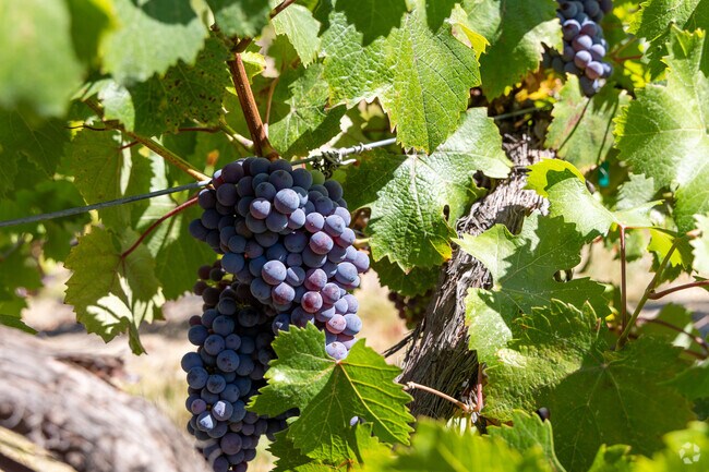 Wineries fill the outskirts of Green.