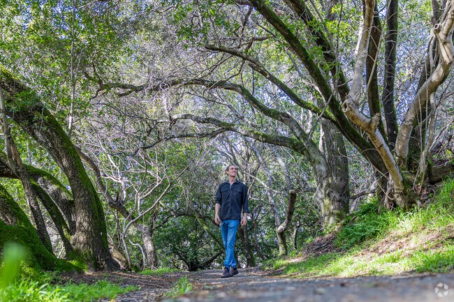 Exploring the serene trails of Lucas Valley, a hiker's paradise.