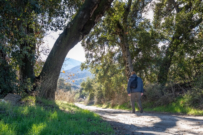 Sycamore Creek has trail access to the Cleveland National Forest.