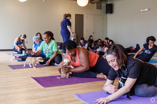 NamaStay Puppy Yoga at The Pearl is a new monthly adoption event near Wilde Lake.