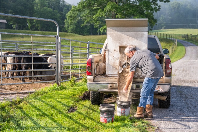 Experience the rustic charm of farm life in Blairsville, where every day is a new adventure.