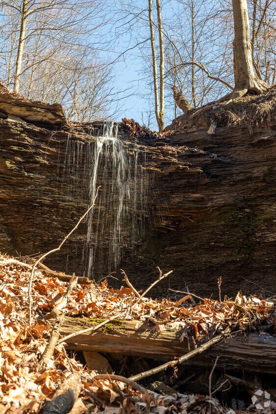 A waterfall located in the Dead Man's Hollow Conservation Area in the Liberty neighborhood.
