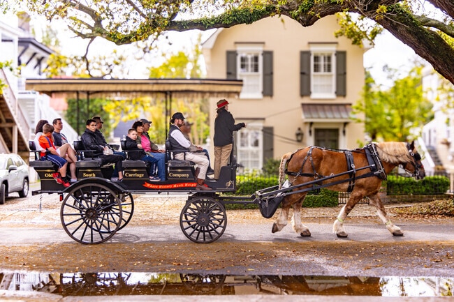 The Carriage tours run through most of the historic Harleston Village streets.