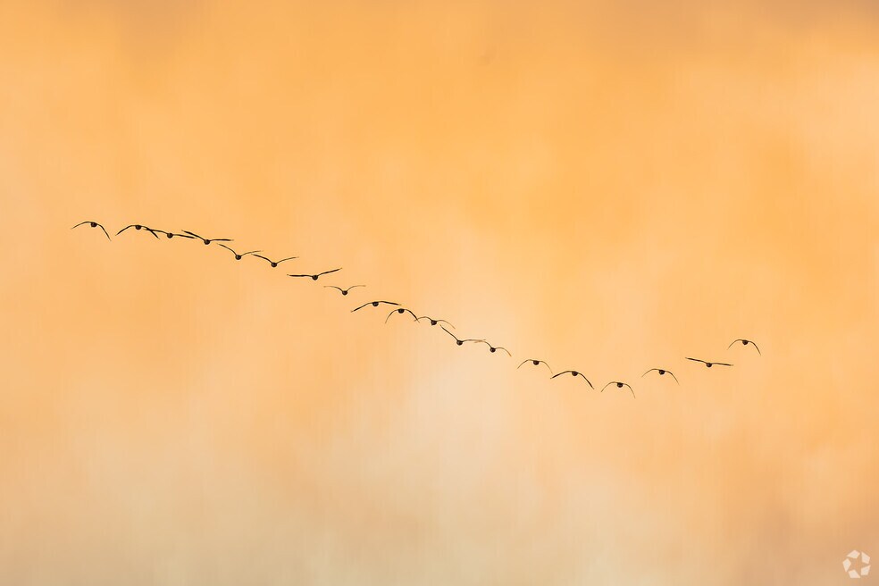 Cherrywood Park_560772_TH_060525_FINAL