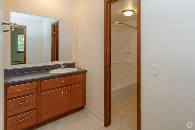 Newly Remodeled 2-Bedroom Vanity/Bathroom 2018